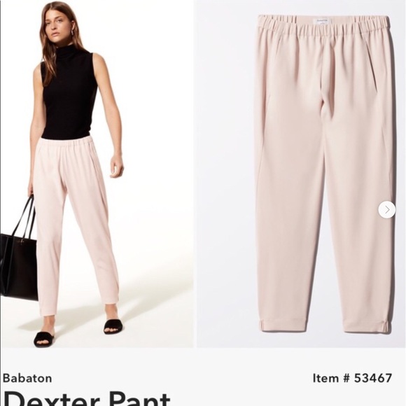 Aritzia Pants - ⭐️Aritzia Babaton Conan pants with side stripe♥️